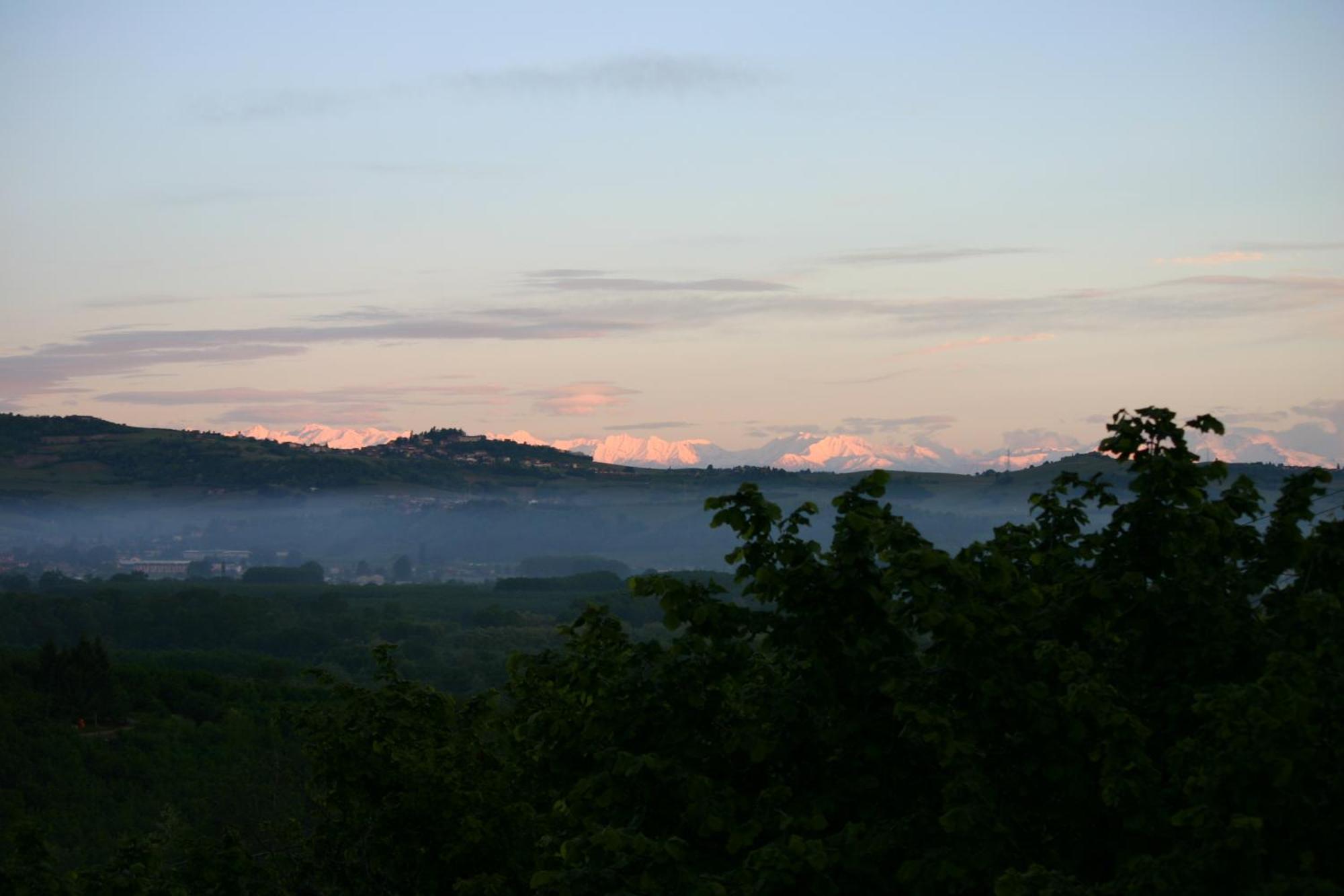 Cascina La Corte Bed & Breakfast Neive Exterior photo