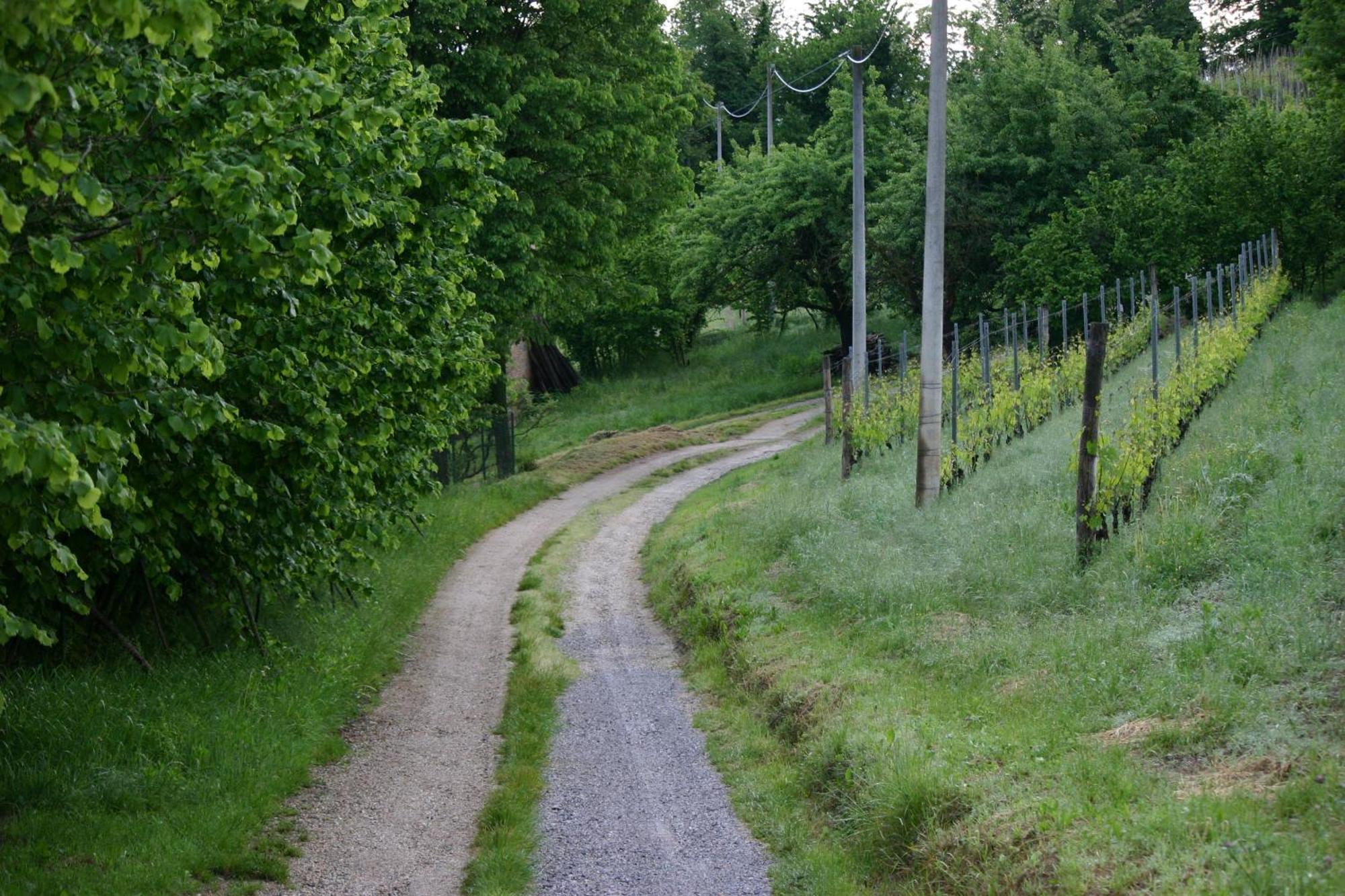 Cascina La Corte Bed & Breakfast Neive Exterior photo