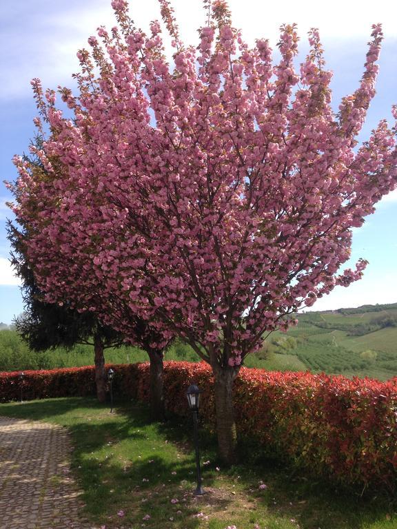 Cascina La Corte Bed & Breakfast Neive Exterior photo