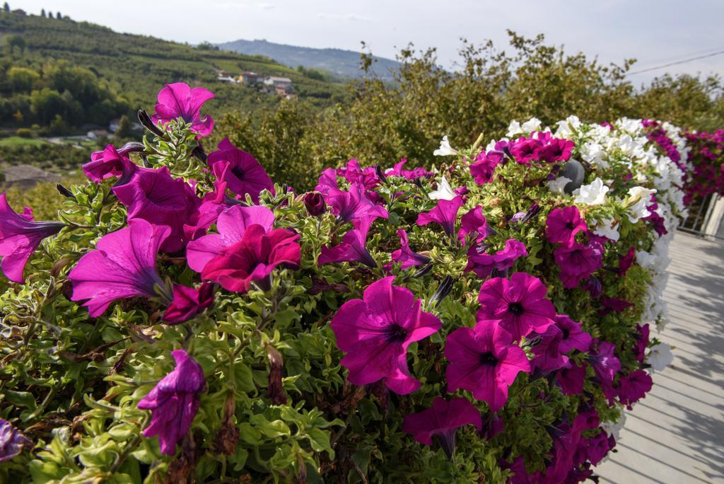 Cascina La Corte Bed & Breakfast Neive Exterior photo